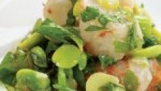 Karidesli bakla salatası tarifi