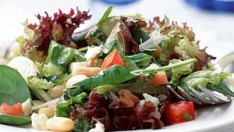 Gazpacho Salatası Tarifi