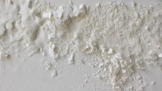 Mutfakta oluşan küf kokularından nasıl kurtulabilirim?